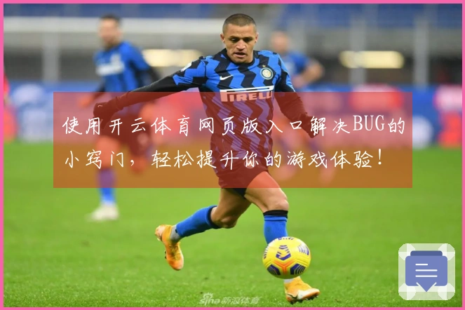 使用开云体育网页版入口解决BUG的小窍门，轻松提升你的游戏体验！