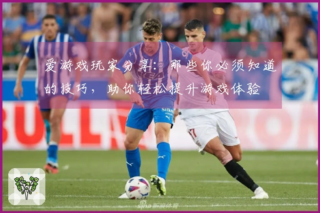 爱游戏玩家分享：那些你必须知道的技巧，助你轻松提升游戏体验